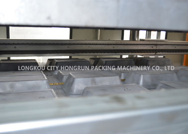 Styrofoam PS Foam Food Container Thermoforming Machine 1000 / 1250mm