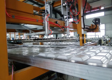 Styrofoam PS Foam Food Container Thermoforming Machine 1000 / 1250mm